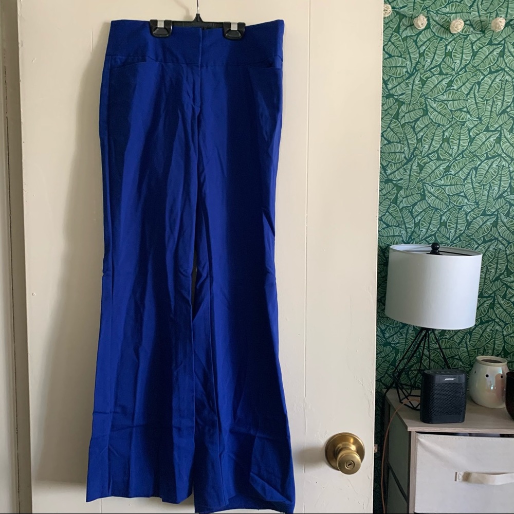 Royal blue dress pant